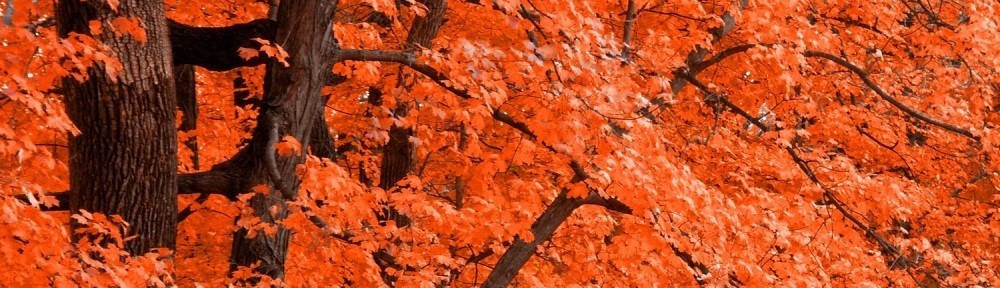 cropped-cropped-Oggi-è-lEquinozio-dAutunno-Copia1.jpg